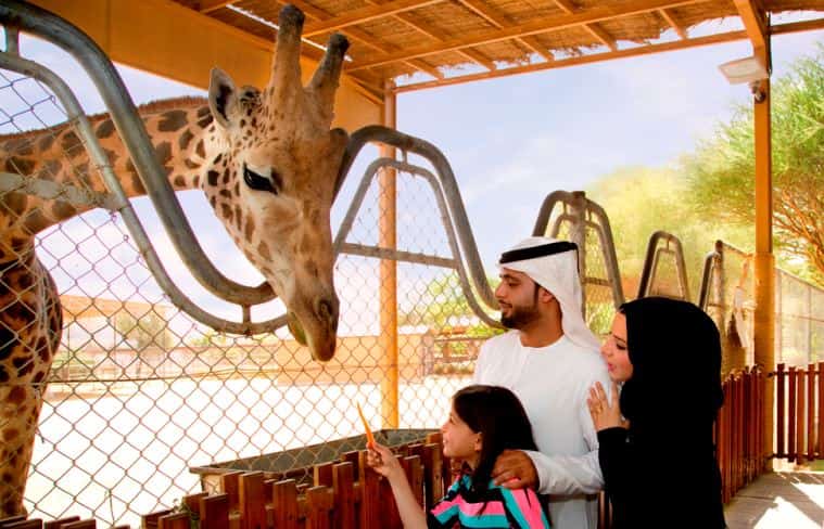 Al Ain Zoo - A Must See Place in Abu Dhabi - Al Ain - Weekend Getaway