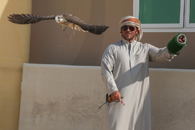 The President Cup Falcon Competitions