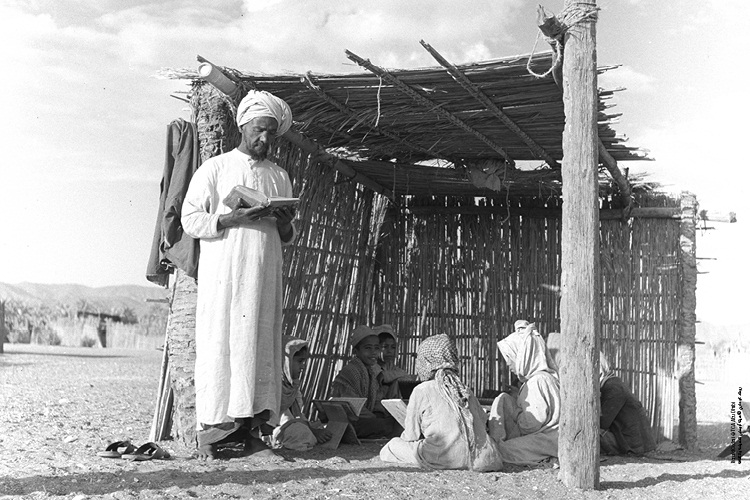 Language of the Land