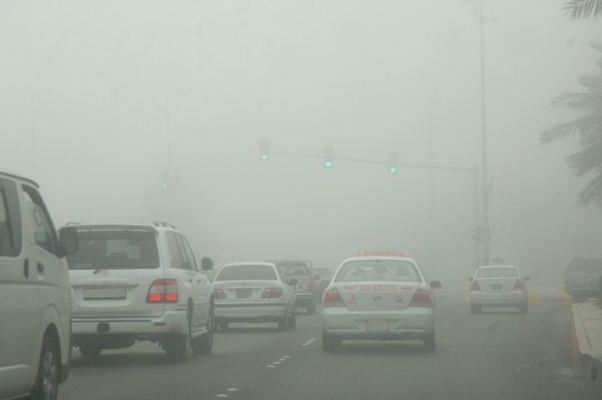 Cars Driving in Fog