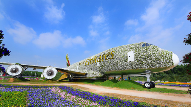 Emirates A380 Model at Dubai Miracle Garden