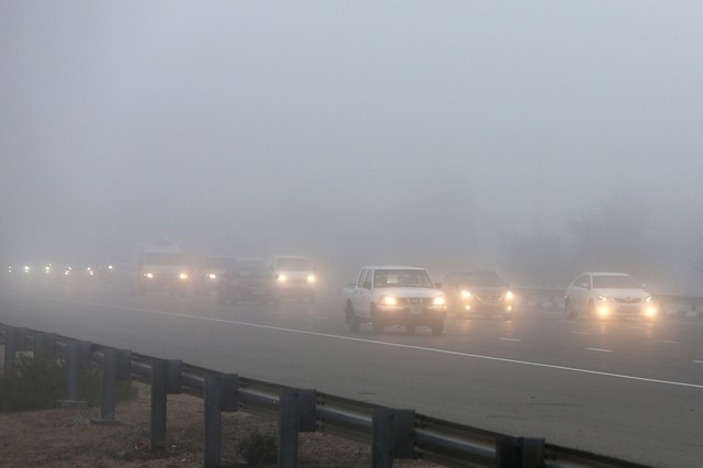 Driving in UAE fog