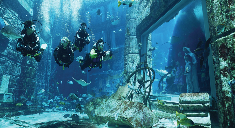 The Lost Chambers Aquarium