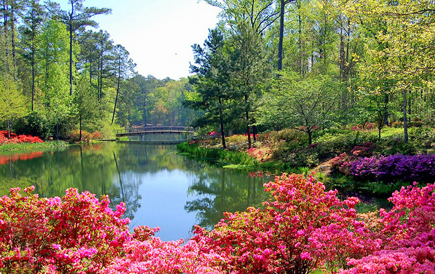 Batumi Botanical Garden