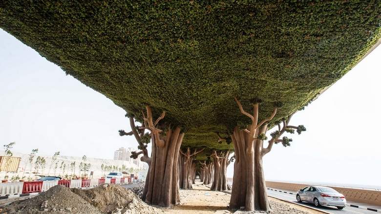 First Forest Bridge in Palm Jumeirah