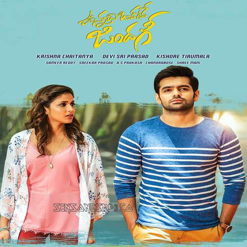 Vunnadhi Okate Zindagi