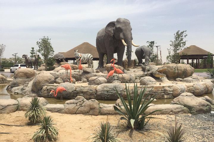 Dubai Safari Park Exhibits