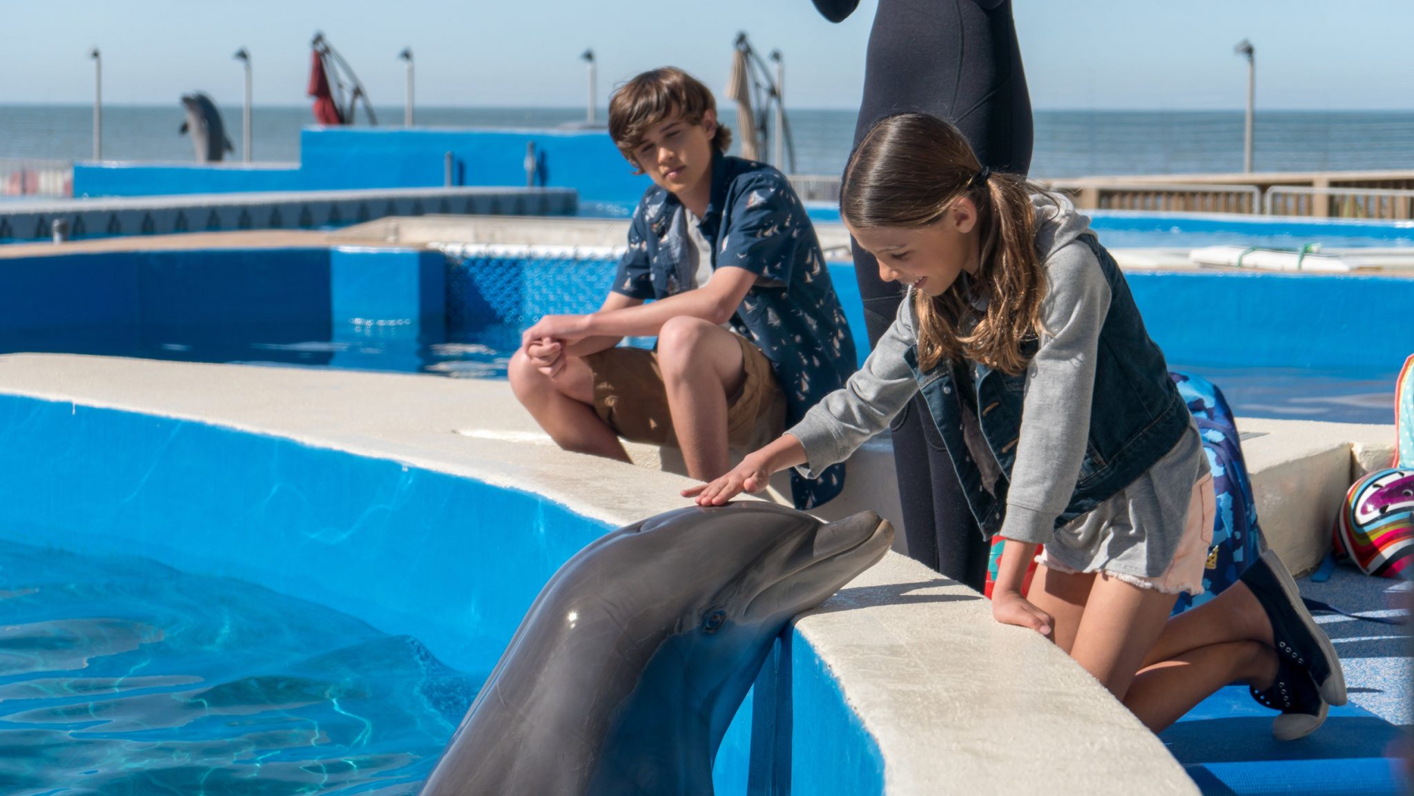 Bernie The Dolphin