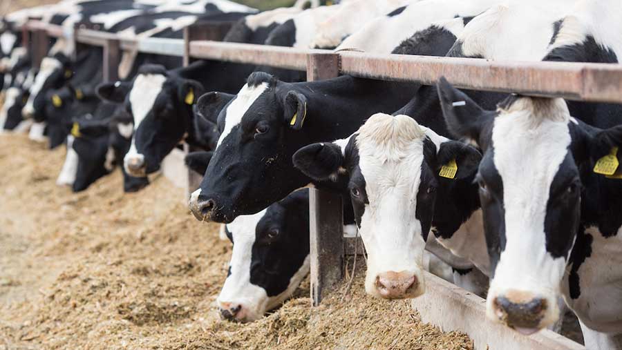 EuroTier Middle East 2019